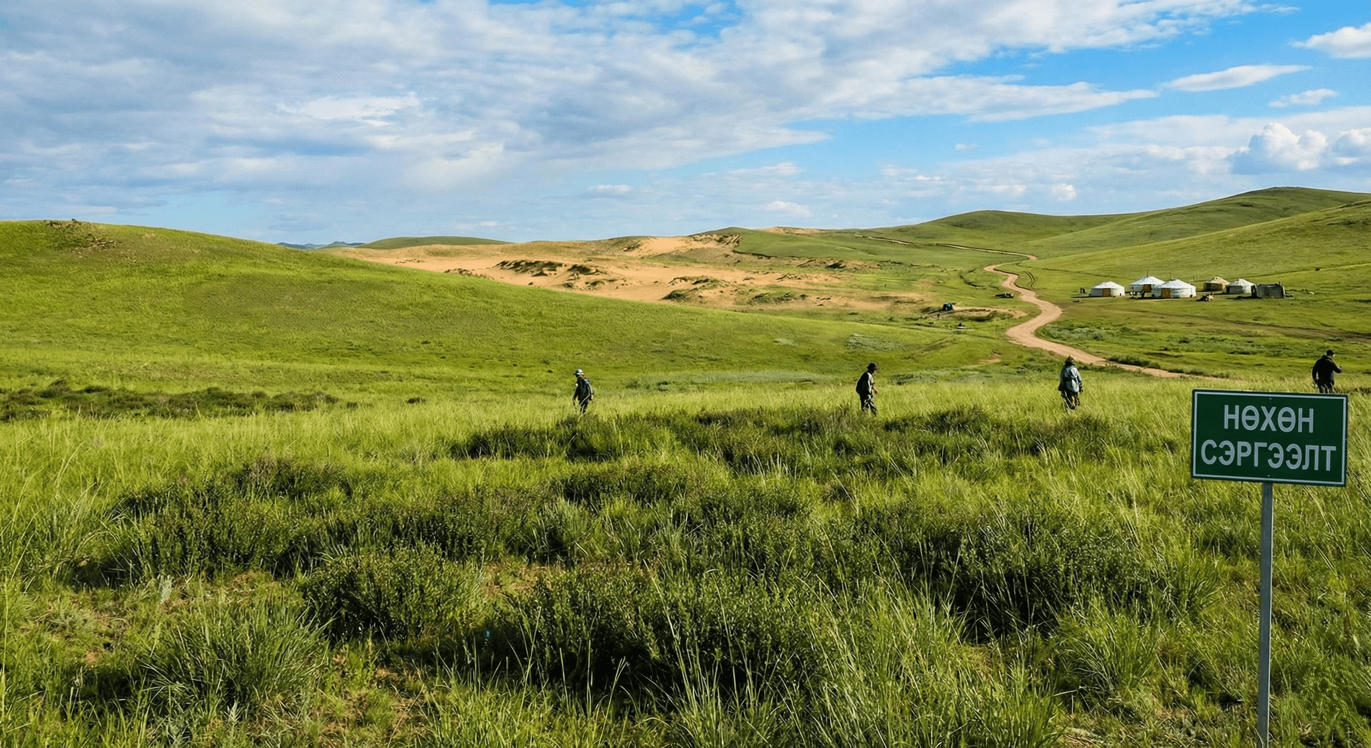 Бид үндэсний хэмжээнд нүүрстөрөгч бууруулах шийдлүүдийг бий болгодог.